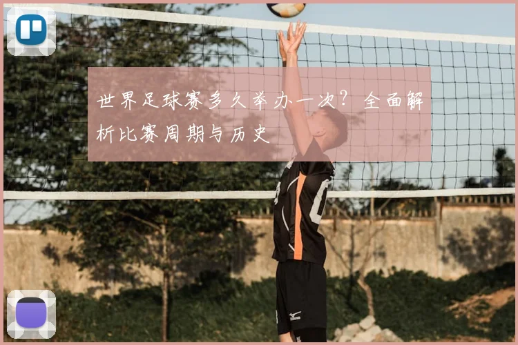 世界足球赛多久举办一次？全面解析比赛周期与历史